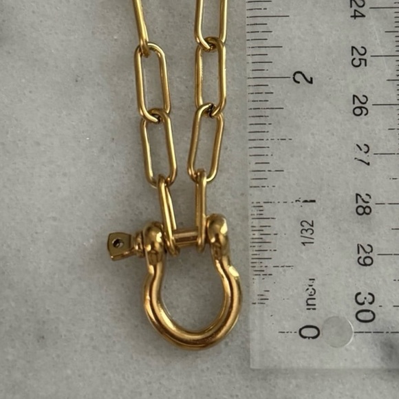 COPY - Gold Carabiner Clasp Charm Chain Link Necklace
Brand New - Picture 4 of 4